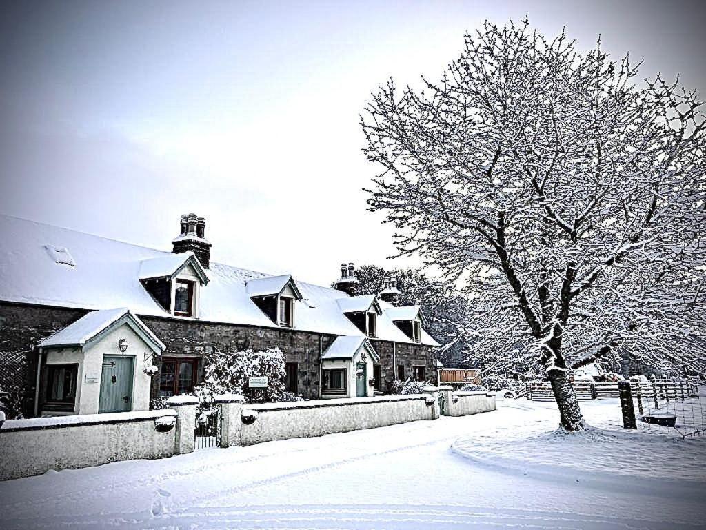 Rosemount Cottage Two - Highland Cottage Garve Zewnętrze zdjęcie